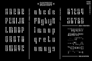 Patinas Pointed, a Serif Font by inumocca_type (Thumbnail 8 of 9)