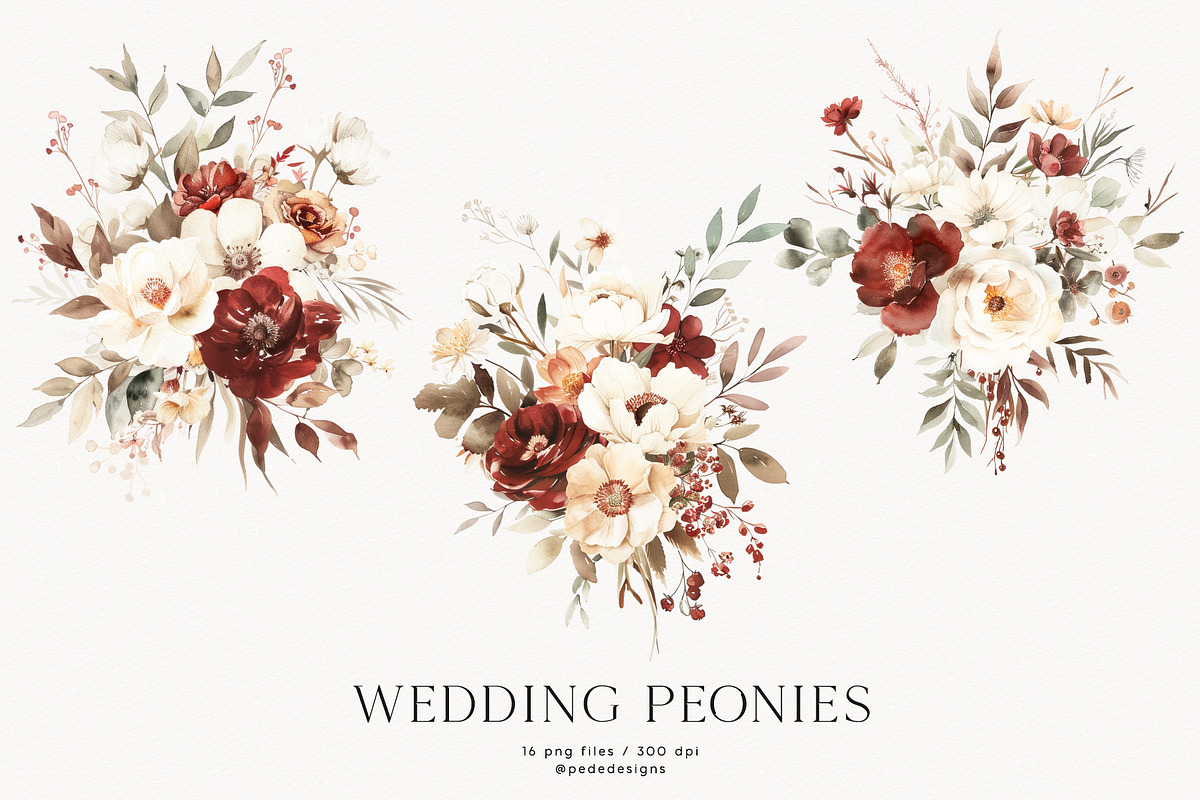 Wedding Peonies, a Decorative Illustration by PeDe Designs (Photo 2 of 10)