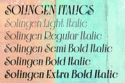 Solingen Font Family, a Serif Font by Mysterylab Designs (Thumbnail 6 of 6)