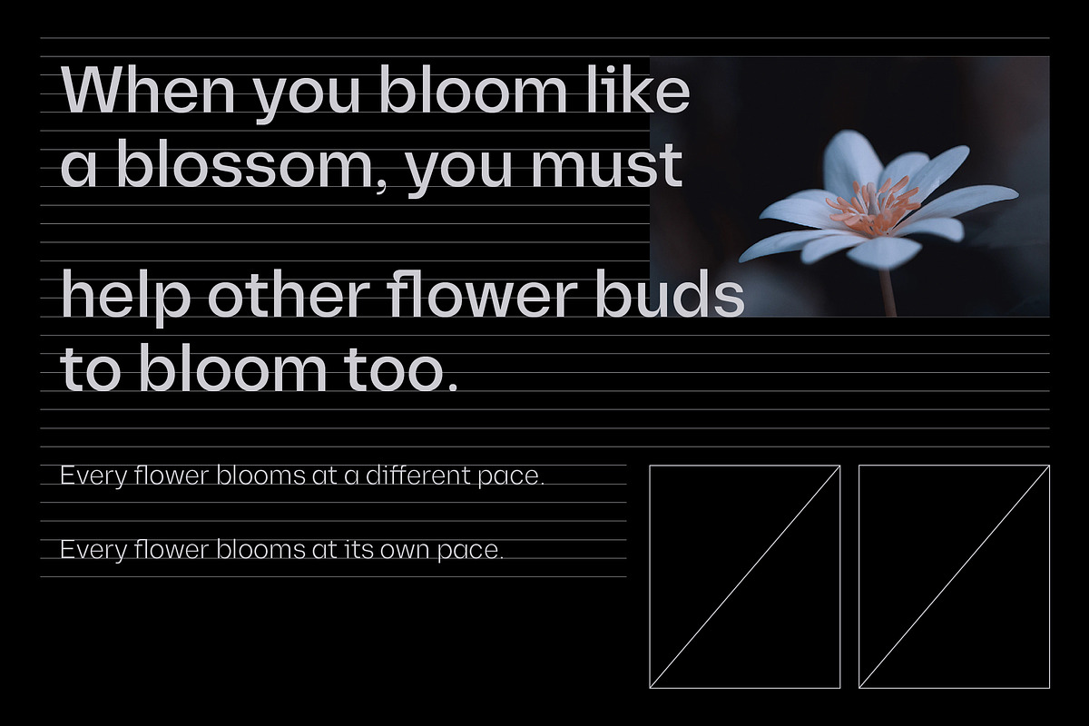 80% off - Diagramm Neo-Grotesk, a Sans Serif Font by HARMNESSLESS (Photo 12 of 15)