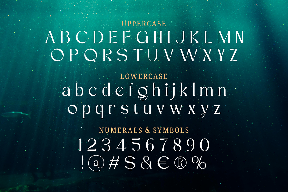 Roselly Serif Font, a Serif Font by Graphue (Photo 2 of 9)