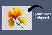 Watercolor Ginkgo Clipart, an Illustration by Designworld (Thumbnail 5 of 6)