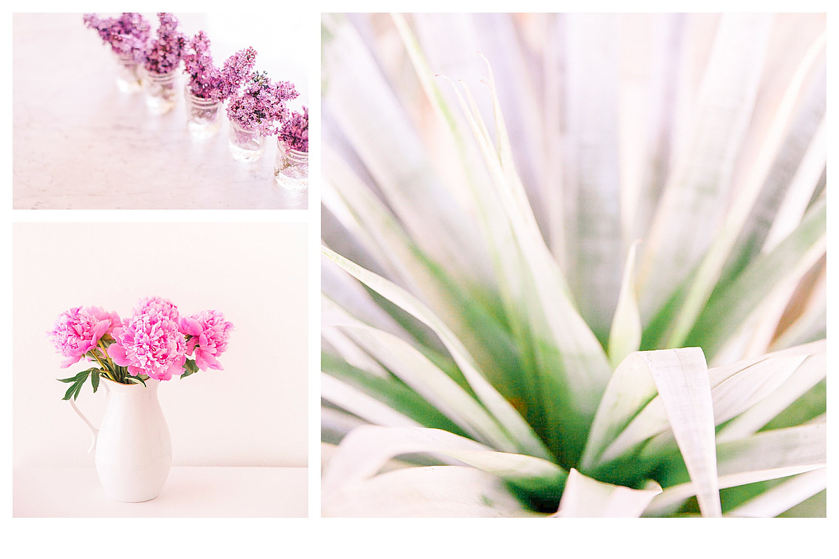 Rose & Blush Blogger Mobile Preset preview 3