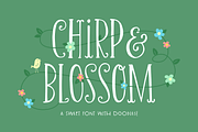 Chirp & Blossom Font, a Serif Font by Denise Chandler (Thumbnail 1 of 8)
