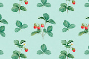 Watercolor berries kit, a Food Illustration by Sundra (Thumbnail 5 of 11)