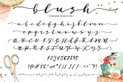 The Brush Script Bundle • 60% OFF, a Script Font by Callie Rian & Co. (Thumbnail 6 of 7)