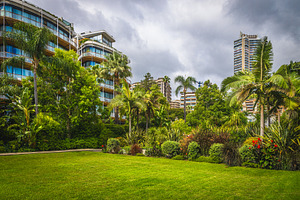 Ornamental plants in the park, an Architecture Photo by Alpine Dreams