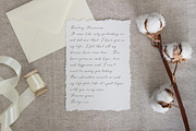 Serenity & Olivia Calligraphy Font, a Script Font by Fine Art Design Studio (Thumbnail 17 of 19)