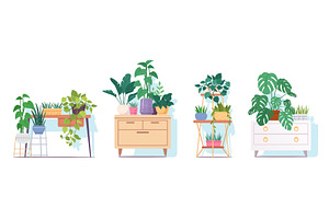 Various potted indoor plants