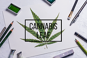 Botanical hand drawing - indica leaf, a Healthcare Illustration by separisa (Thumbnail 1 of 2)