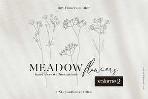 Meadow Flowers Bundle volume 2, an Illustration by Pigment Café