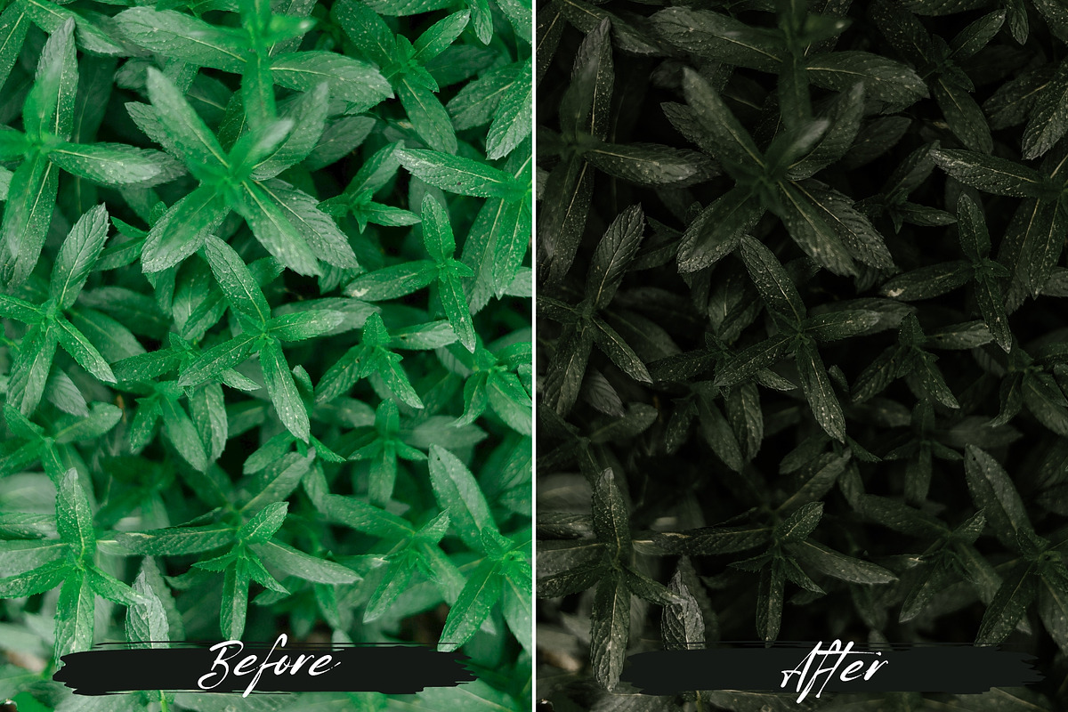 10 Moody Green Lightroom Presets, a Preset Add-On by MEPRESETS (Photo 5 of 9)