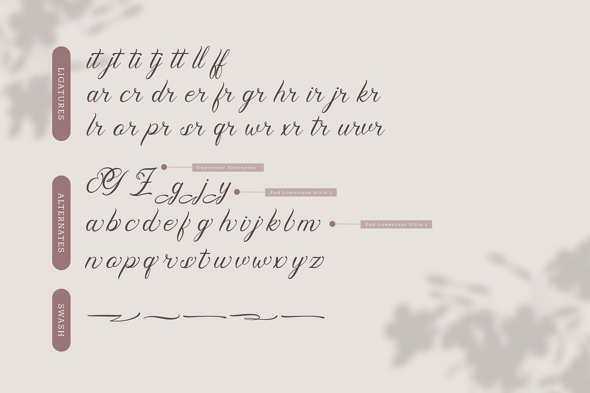 Pimfloth Bartauly | Beauty Script, a Script Font by Denustudios (Photo 12 of 13)