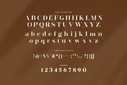 Emalia Elegant Serif Font, a Serif Font by Perfectype (Thumbnail 7 of 8)