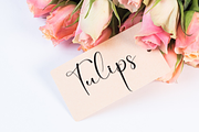 Sometimes | Script Font, a Handwritten Font by Scratchones (Thumbnail 4 of 8)
