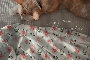 Damasco Roses, Luxury Pattern