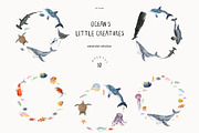 Ocean's Little Creatures, an Animal Illustration by LiChu Art (Thumbnail 7 of 12)