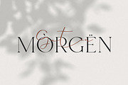 Hello Paris - Variable Duo, a Serif Font by Sans & Sons (Thumbnail 22 of 29)