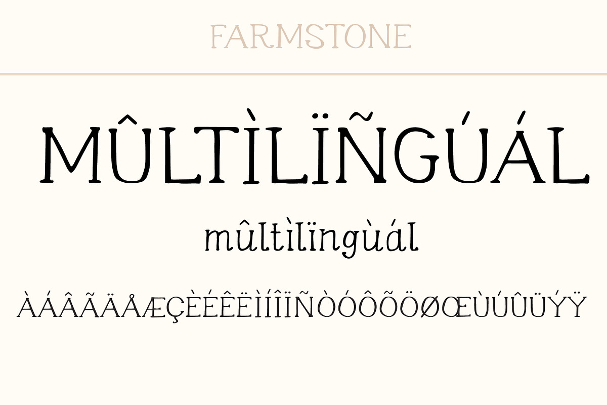 Farmstone Rustic serif font. Doodles, a Serif Font by LABFcreations (Photo 13 of 17)