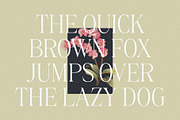 Belinda Avenue || Stylish Classic Se, a Serif Font by BrandSemut (Thumbnail 3 of 10)