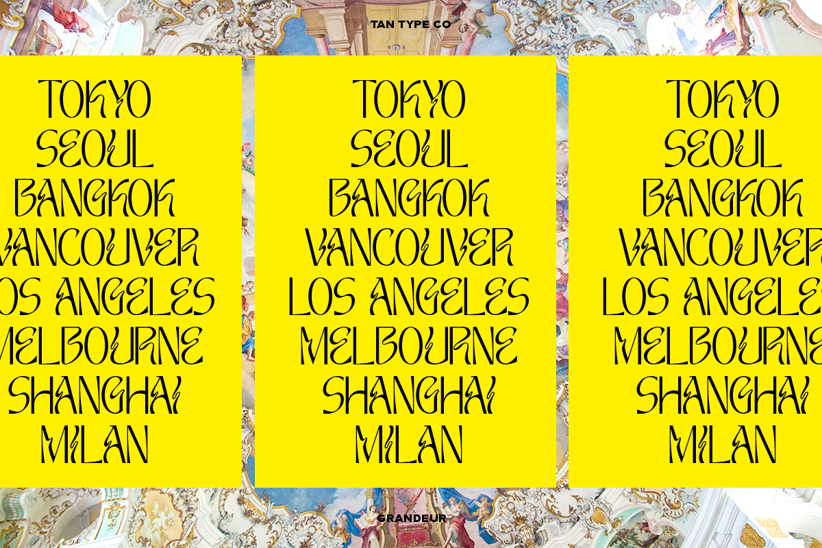 TAN - GRANDEUR, a Sans Serif Font by TanType (Photo 8 of 25)