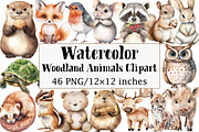 Woodland Animals Clipart, an Illustration by Design Market (Thumbnail 1 of 5)