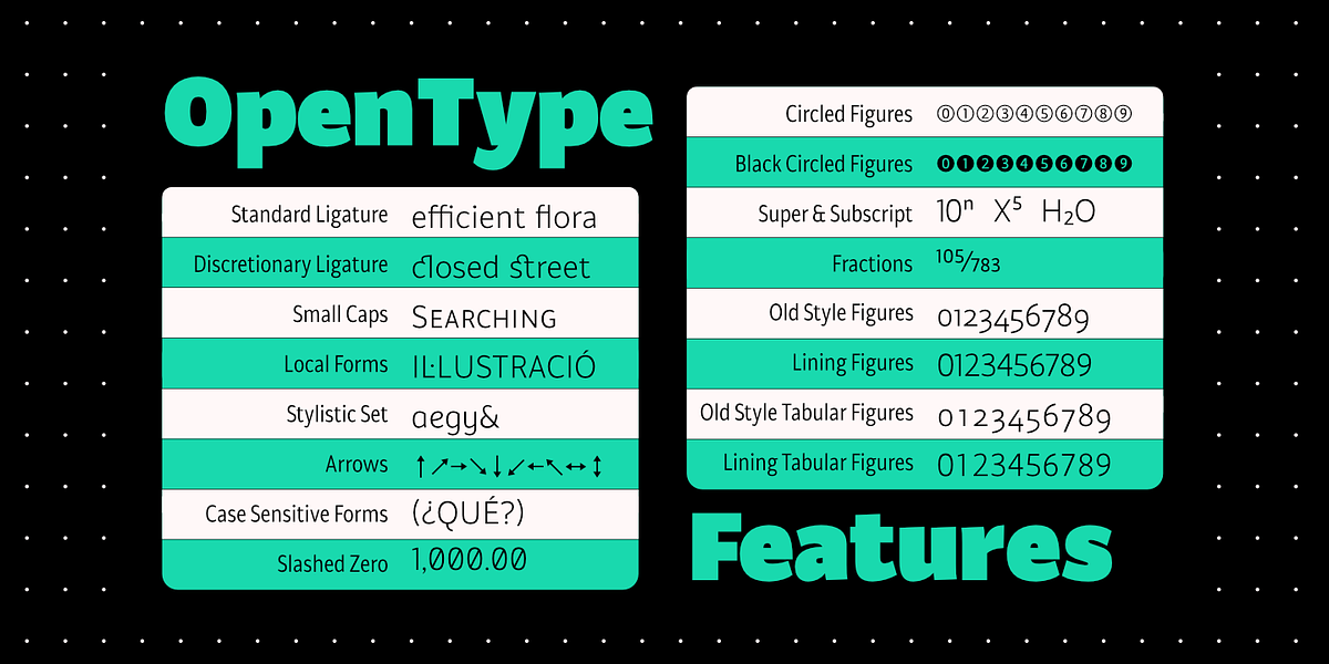 Brava Sans, a Sans Serif Font by Rafael Jordan (Photo 4 of 5)
