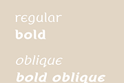 Tarin Sans, a Serif Font by Creative Foundry (Thumbnail 2 of 8)