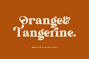 Britysh, a Serif Font by Sealoung (Thumbnail 14 of 15)