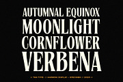 TAN - Harmoni, a Serif Font by TanType (Thumbnail 9 of 19)
