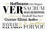 TA Regresso Text, a Serif Font by TAFT Foundry (Thumbnail 17 of 21)