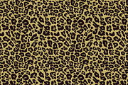 Leopard Skin Seamless Pattern Set., a Texture Graphic by Gomolach (Thumbnail 9 of 21)