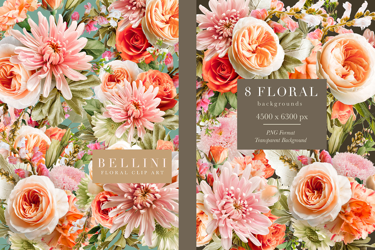 Bellini Floral Clip Art Collection, an Object Graphic by Eclectic Anthology (Photo 4 of 17)