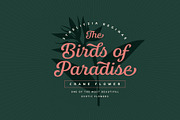 Bluestar Italic, a Font by Mika Melvas (Thumbnail 3 of 10)