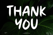 Vibrancy - Display Font, a Script Font by Alpaprana (Thumbnail 9 of 9)