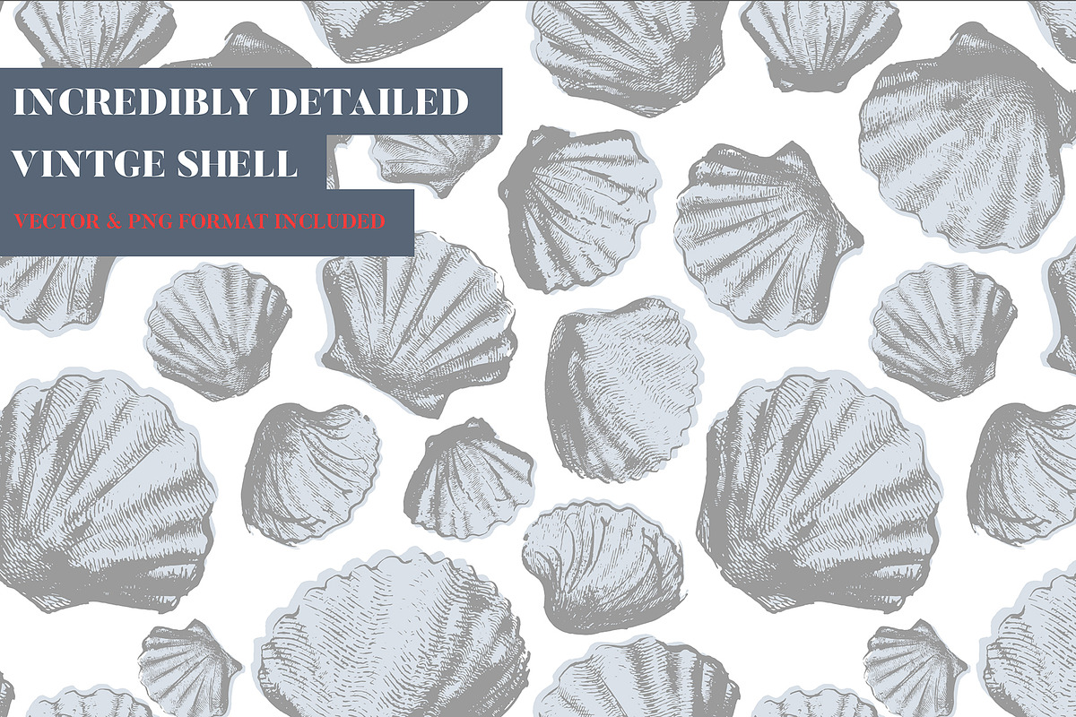 Vintage shell, an Illustration by Siosay (Photo 6 of 8)