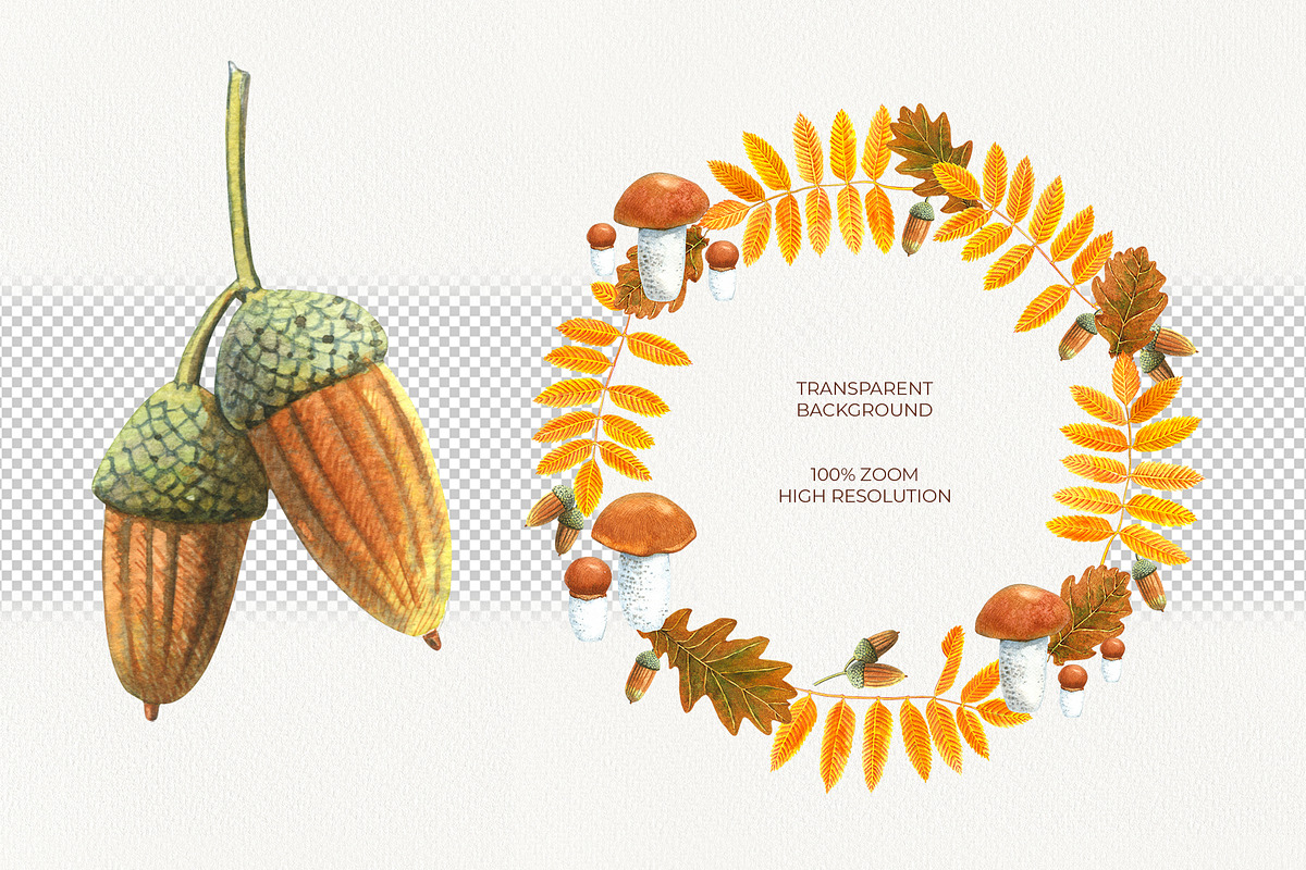 Autumn Woodland Watercolor, a Seasonal Illustration by YarovaArt (Photo 9 of 15)