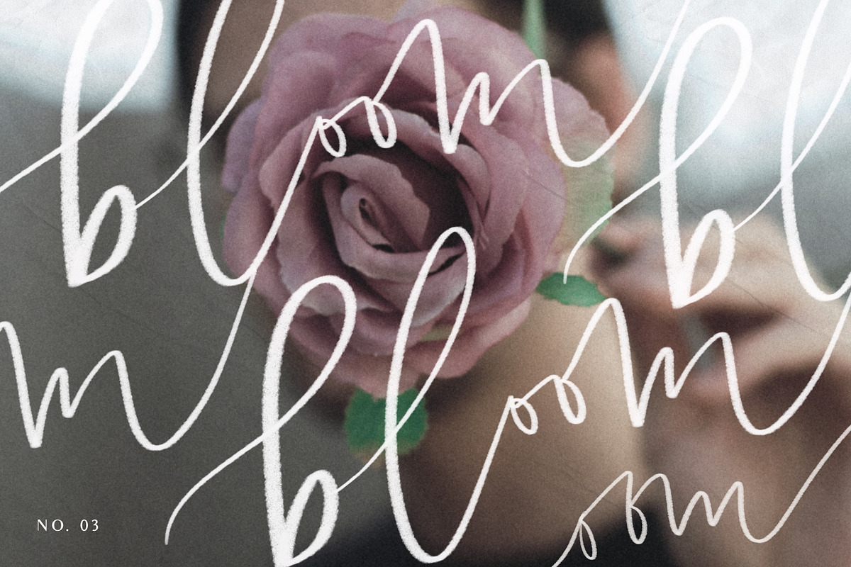 Lettering Brush Bundle + Workbook, a Brush Add-On by Darla Studio (Photo 8 of 16)