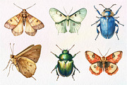 Vintage Insect Sublimation Clipart, an Illustration by Dream Creation (Thumbnail 5 of 7)