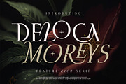 Deloca Moreys Typeface, a Serif Font by alit design (Thumbnail 1 of 20)