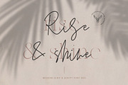 Marseille & Amsterdam Font Duo, a Serif Font by SilverStag Type Foundry (Thumbnail 3 of 19)