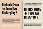 Amvergo Modern Sans Family, a Sans Serif Font by Lettertype Studio (Thumbnail 14 of 18)