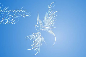 Calligraphic Birds