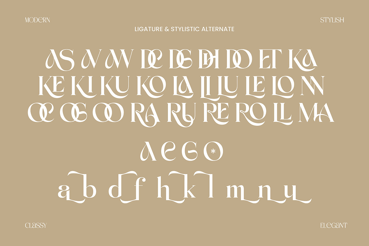 Achroma Editorial, a Serif Font by Megatype (Photo 7 of 9)