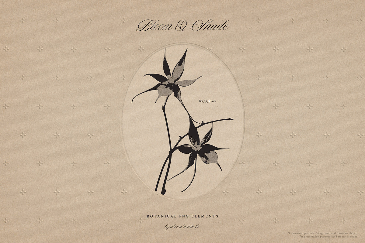 Bloom & Shade Botanical PNG Elements, an Object Graphic by alonahaidash (Photo 5 of 13)
