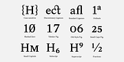 Frasa, a Serif Font by Tokotype (Thumbnail 6 of 12)