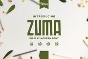 Zuma, a Sans Serif Font by almazstudio (Thumbnail 1 of 10)