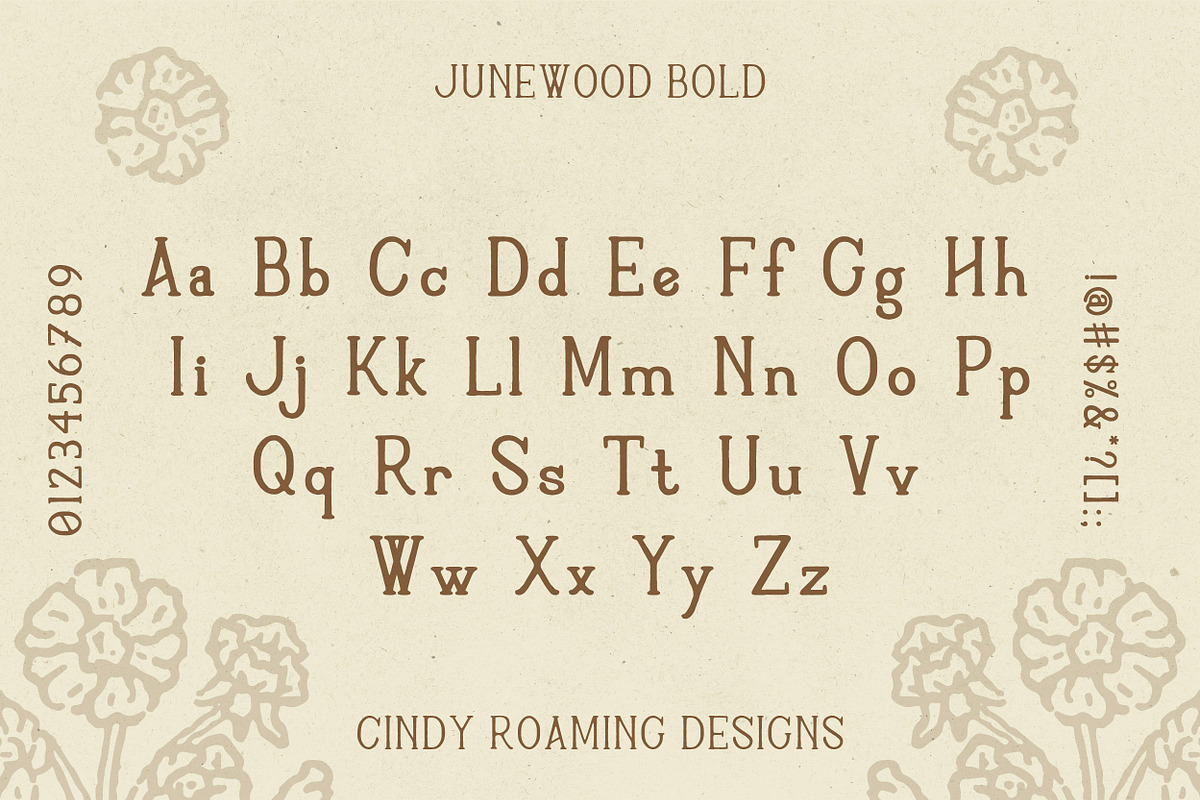 Junewood by Cindy Roaming Designs, a Serif Font by cindyroamingdesigns (Photo 4 of 8)