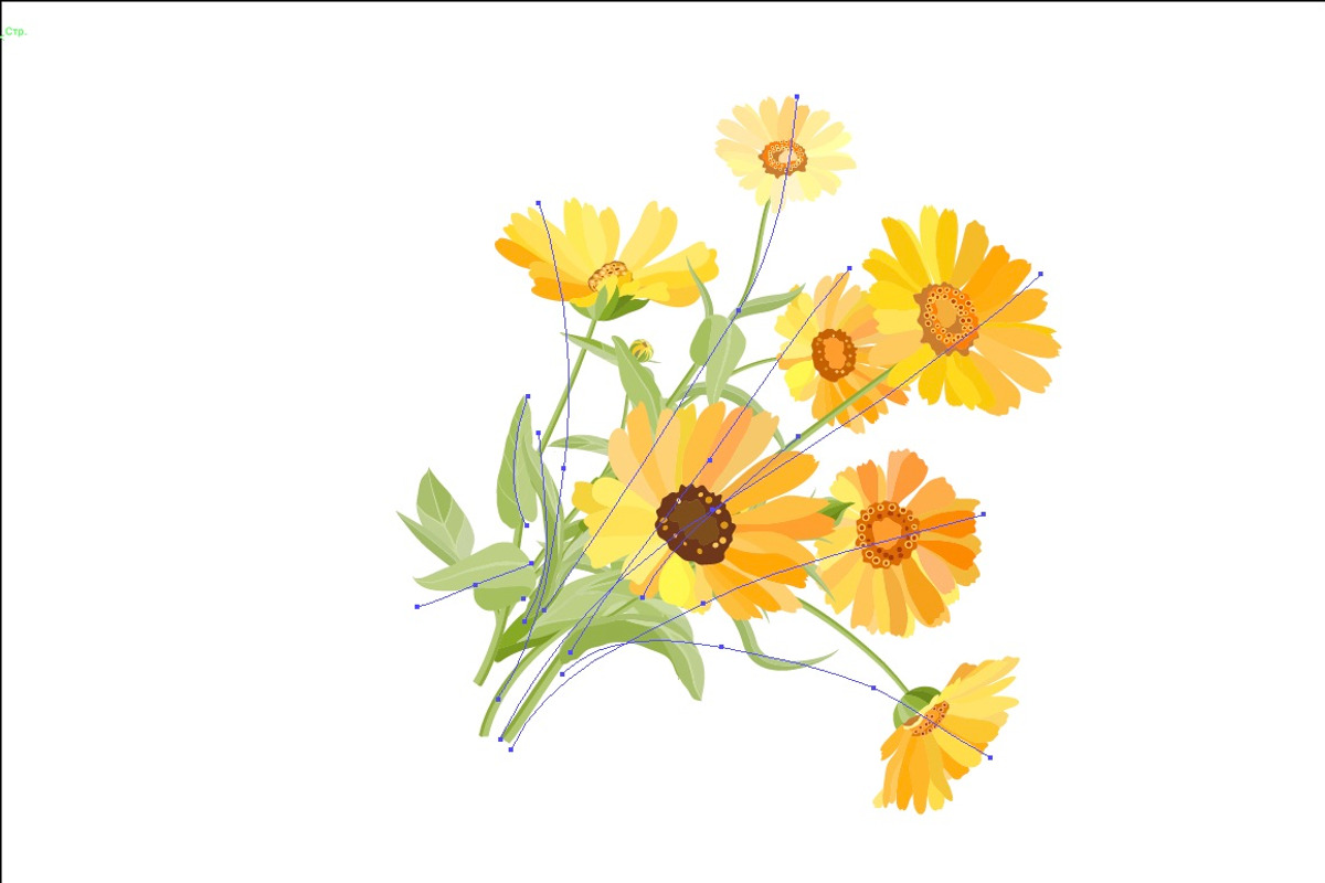Vector object brushes. Calendula preview 3