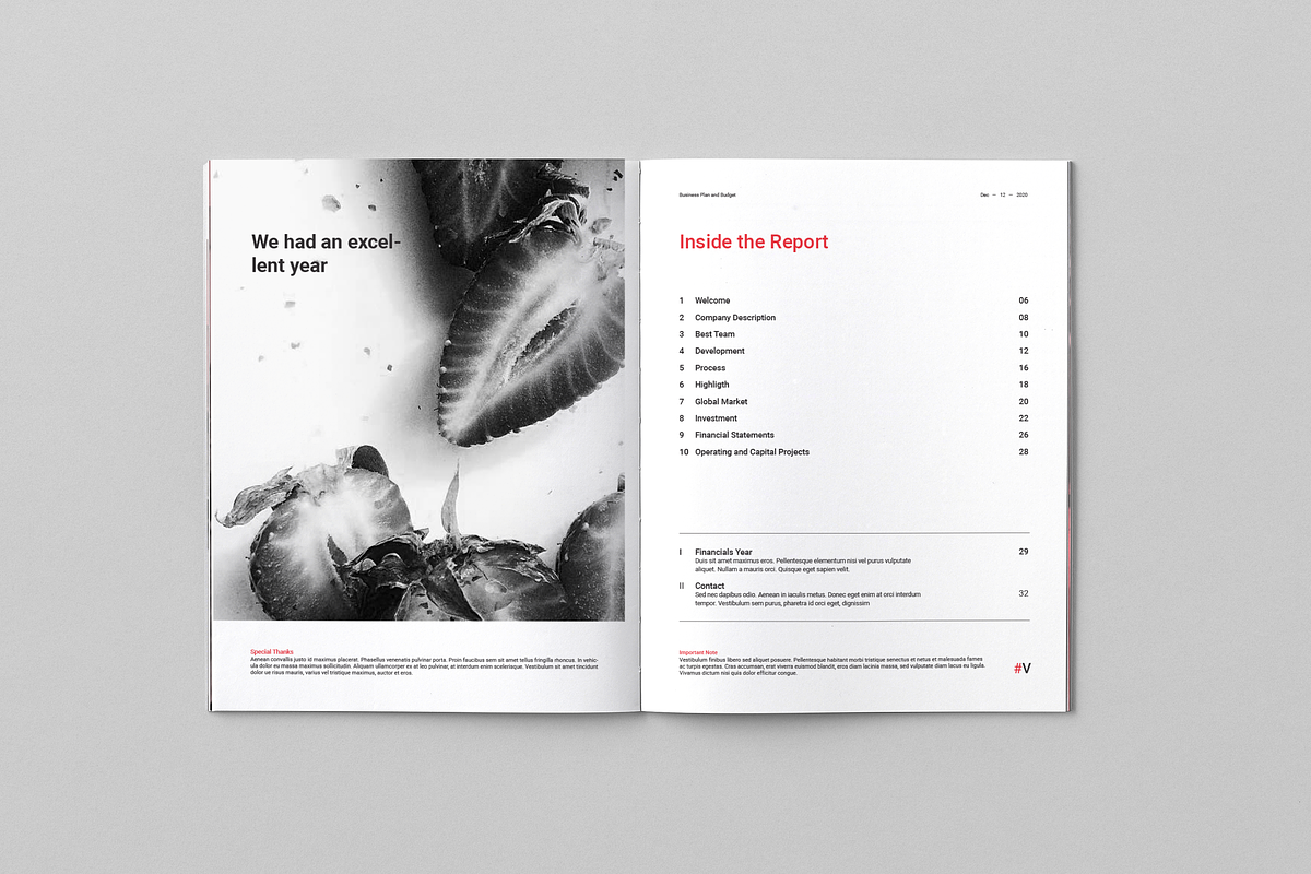 Annual Reports, a Brochure Template by BOXKAYU (Photo 3 of 17)